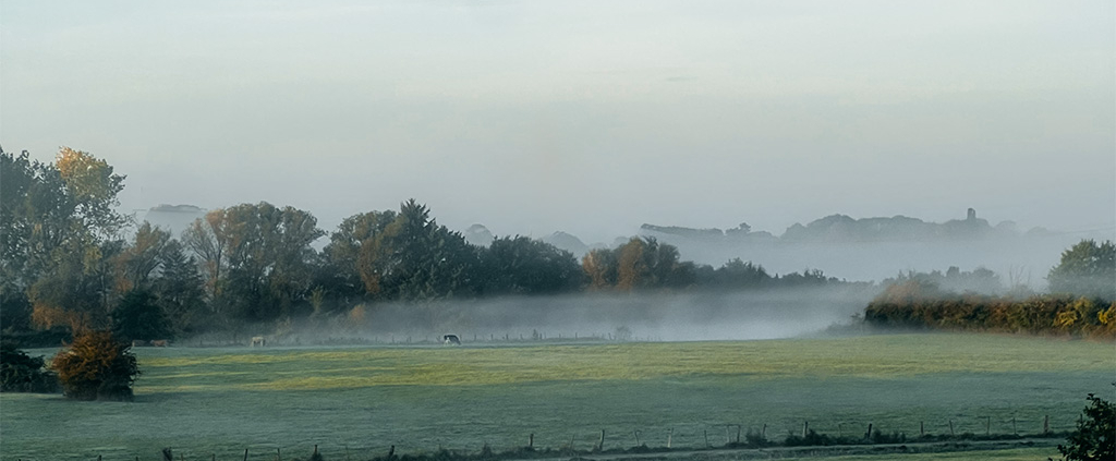 Etelsen am Morgen