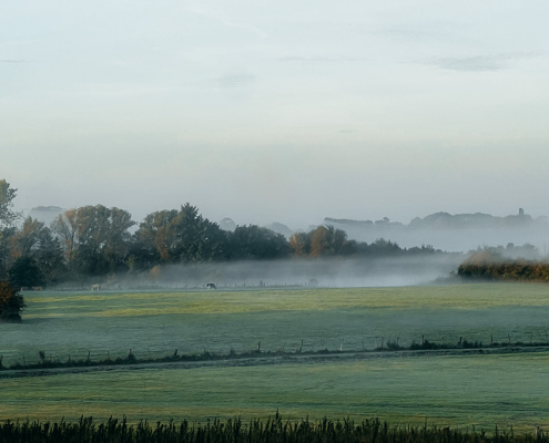 Etelsen am Morgen